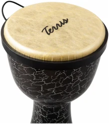 Terris DPC-10 CRACK в Москве c доставкой