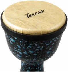 Terris DPC-10 MAZUT в Москве c доставкой