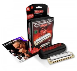 Hohner Marine Band Thunderbird E low в Москве c доставкой
