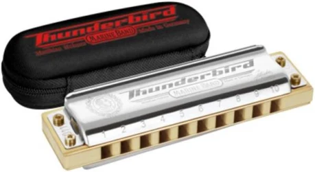 Hohner Marine Band Thunderbird E low в Москве c доставкой