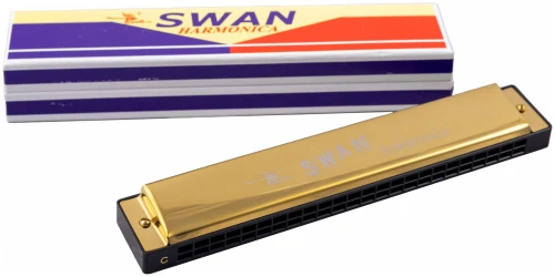 Swan SW24-1 GD в Москве c доставкой