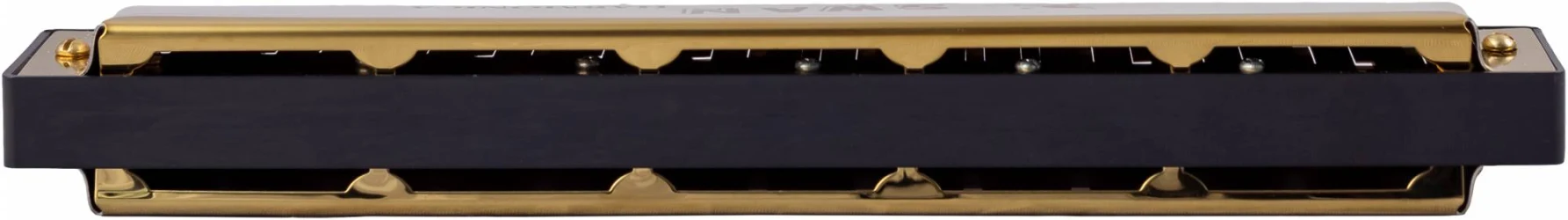 Swan SW24-1 GD в Москве c доставкой