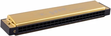 Swan SW24-1 GD в Москве c доставкой