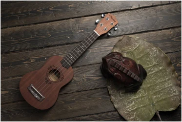 Veston KUS 20 NT в Москве c доставкой