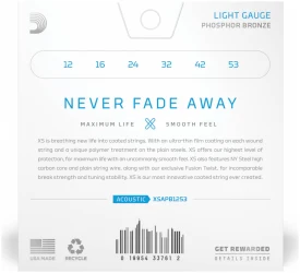 D'Addario XS Acoustic Phosphor Bronze 12/53 в Москве c доставкой