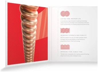 D'Addario XS Acoustic Phosphor Bronze 13/56 в Москве c доставкой