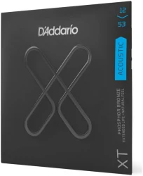 D'Addario XT Acoustic Phosphor Bronze 12/53 в Москве c доставкой