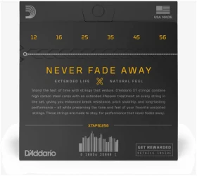 D'Addario XT Acoustic Phosphor Bronze 12/56 в Москве c доставкой