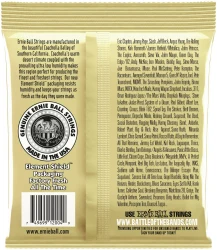 Ernie Ball 2004 Earthwood 80/20 Bronze Light 11/52 в Москве c доставкой