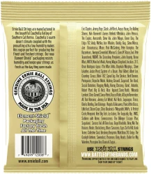 Ernie Ball 2008 Earthwood 80/20 Bronze Rock And Blues 10/52 в Москве c доставкой