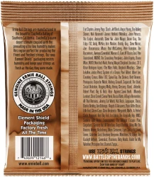 Ernie Ball 2146 Earthwood Phosphor Bronze Medium Light 12/54 в Москве c доставкой