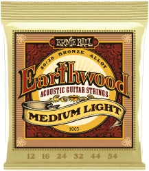 Ernie Ball 2003 Earthwood 80/20 Bronze Medium Light 12/54 в Москве c доставкой