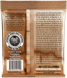 Ernie Ball 2151 Earthwood Phosphor Bronze Rock And Blues 10/52 в Москве c доставкой