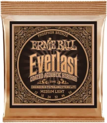 Ernie Ball 2546 Everlast Coated Phosphor Bronze Medium Light 12/54 в Москве c доставкой