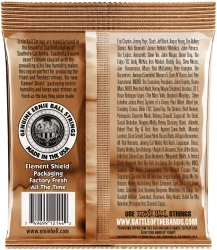 Ernie Ball 2144 Earthwood Phosphor Bronze Medium 13/56 в Москве c доставкой