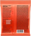 Ernie Ball 2215 Skinny Top Heavy Bottom Nickel Wound 10/52 в Москве c доставкой