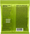 Ernie Ball 2221 Regular Slinky Nickel Wound 10/46 в Москве c доставкой