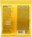 Ernie Ball 2216 Skinny Top Beefy Bottom Nickel Wound 10/54 в Москве c доставкой