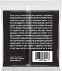 Ernie Ball 2246 Regular Slinky Stainless Steel 10/46 в Москве c доставкой