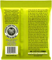 Ernie Ball 2251 Classic Rock N Roll Slinky Regular 10/46 в Москве c доставкой