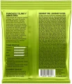 Ernie Ball 2621 7-String Regular Slinky Nickel Wound 10/56 в Москве c доставкой