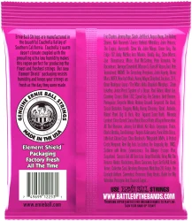 Ernie Ball 2253 Classic Rock N Roll Slinky Super 9/42 в Москве c доставкой