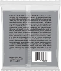 Ernie Ball 2628 9-String Slinky Nickel Wound 9/105 в Москве c доставкой