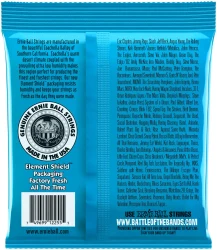 Ernie Ball 2255 Classic Rock N Roll Slinky Extra 8/38 в Москве c доставкой