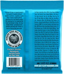 Ernie Ball 2238 Slinky RPS 8 Extra 8/38 в Москве c доставкой