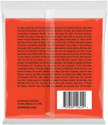 Ernie Ball 2624 8-String Skinny Top Heavy Bottom Nickel Wound 9/80 в Москве c доставкой