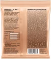 Ernie Ball 2224 Turbo Slinky Nickel Wound 9.5/46 в Москве c доставкой