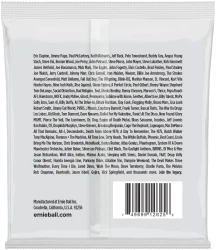 Ernie Ball 2625 8-String Slinky Nickel Wound 10/74 в Москве c доставкой