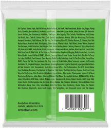 Ernie Ball 2230 12-String Slinky Nickel Wound 8-22/8-40 в Москве c доставкой