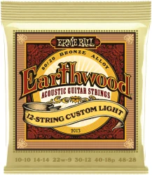 Ernie Ball 2013 Earthwood 80/20 Bronze 12-String Custom Light 10-48/10-28 в Москве c доставкой