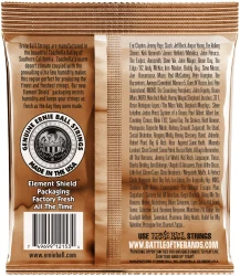 Ernie Ball 2153 Earthwood Phosphor Bronze 12-String Light 9-46/9-26 в Москве c доставкой