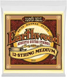 Ernie Ball 2012 Earthwood 80/20 Bronze 12-String Medium 11-52/11-28 в Москве c доставкой