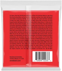 Ernie Ball 2233 12-String Nickel Wound Light 9-46/9-26 в Москве c доставкой