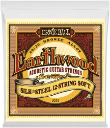 Ernie Ball 2051 Earthwood 80/20 Bronze Silk&Steel 12-String Soft 9-46/9-26 в Москве c доставкой