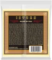 Ernie Ball 2051 Earthwood 80/20 Bronze Silk&Steel 12-String Soft 9-46/9-26 в Москве c доставкой