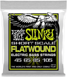 Ernie Ball 2818 Short Scale Electric Bass Slinky Flatwound 45/105 в Москве c доставкой