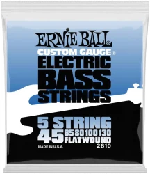 Ernie Ball 2810 5-String Electric Bass Flatwound 45/130 в Москве c доставкой
