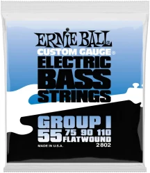Ernie Ball 2802 Electric Bass Group I Flatwound 55/110 в Москве c доставкой