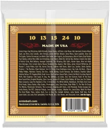 Ernie Ball 2061 Earthwood 80/20 Bronze Frailing 10/24 в Москве c доставкой