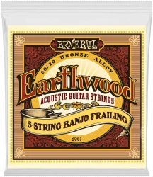 Ernie Ball 2061 Earthwood 80/20 Bronze Frailing 10/24 в Москве c доставкой