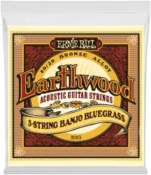 Ernie Ball 2063 Earthwood 80/20 Bronze Bluegrass 9/20 в Москве c доставкой