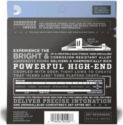 D'Addario EPS170 XL Pro Steels Long Scale Regular Light 45/100 в Москве c доставкой