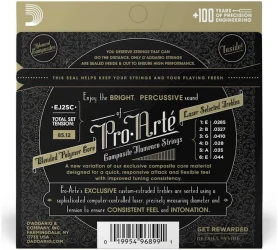 D'Addario EJ25C Pro-Arte Flamenco Custom Tension в Москве c доставкой
