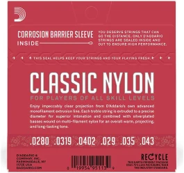 D'Addario EJ27N Clear Nylon Silverplated Wound Normal Tension в Москве c доставкой