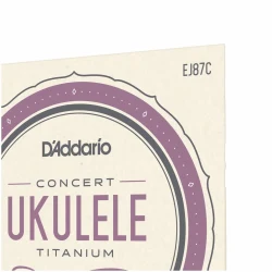 D'Addario EJ87C Ukulele Concert Titanium в Москве c доставкой
