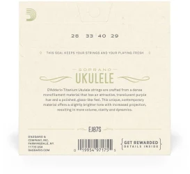 D'Addario EJ87S Ukulele Soprano Titanium в Москве c доставкой